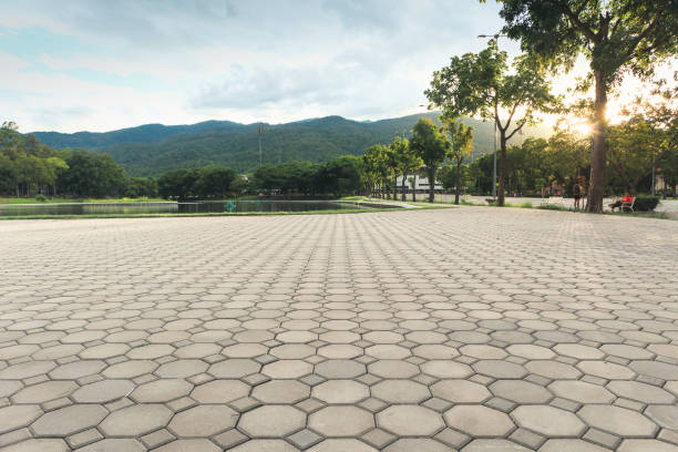 Best Driveway Paving Contractor  in Pirtleville, AZ